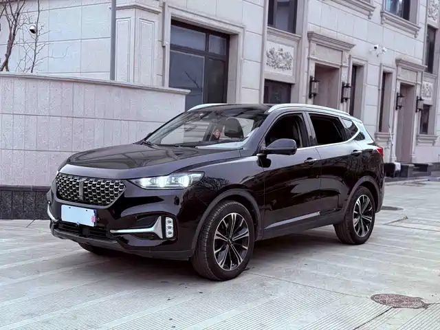 WEI PAI WEI BRAND VV6