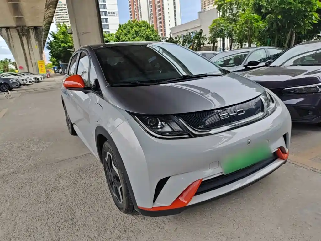 BYD Dolphin 2021 2021 405km Freedom Edition
