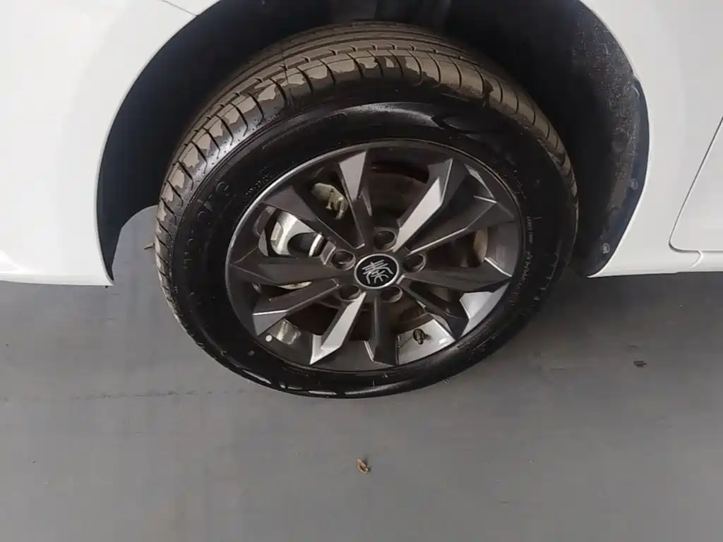 Фото 23 - BYD Qin New Energy