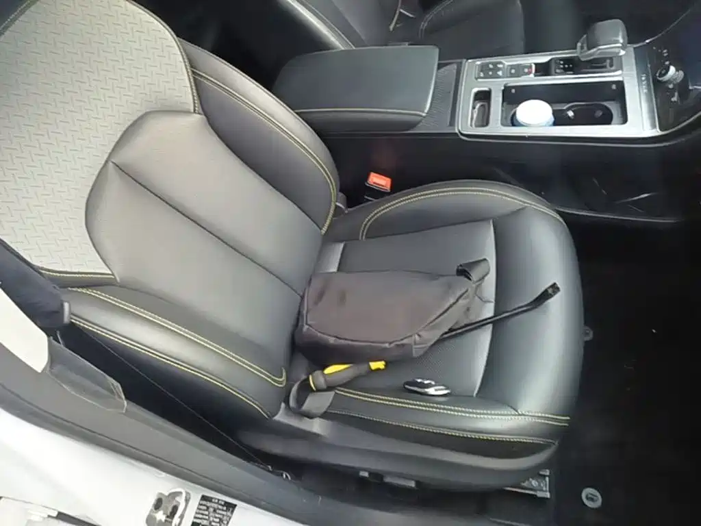 Roewe RX5 New Energy 2021 2020 ePLUS Guochao Ronglin Flagship Edition