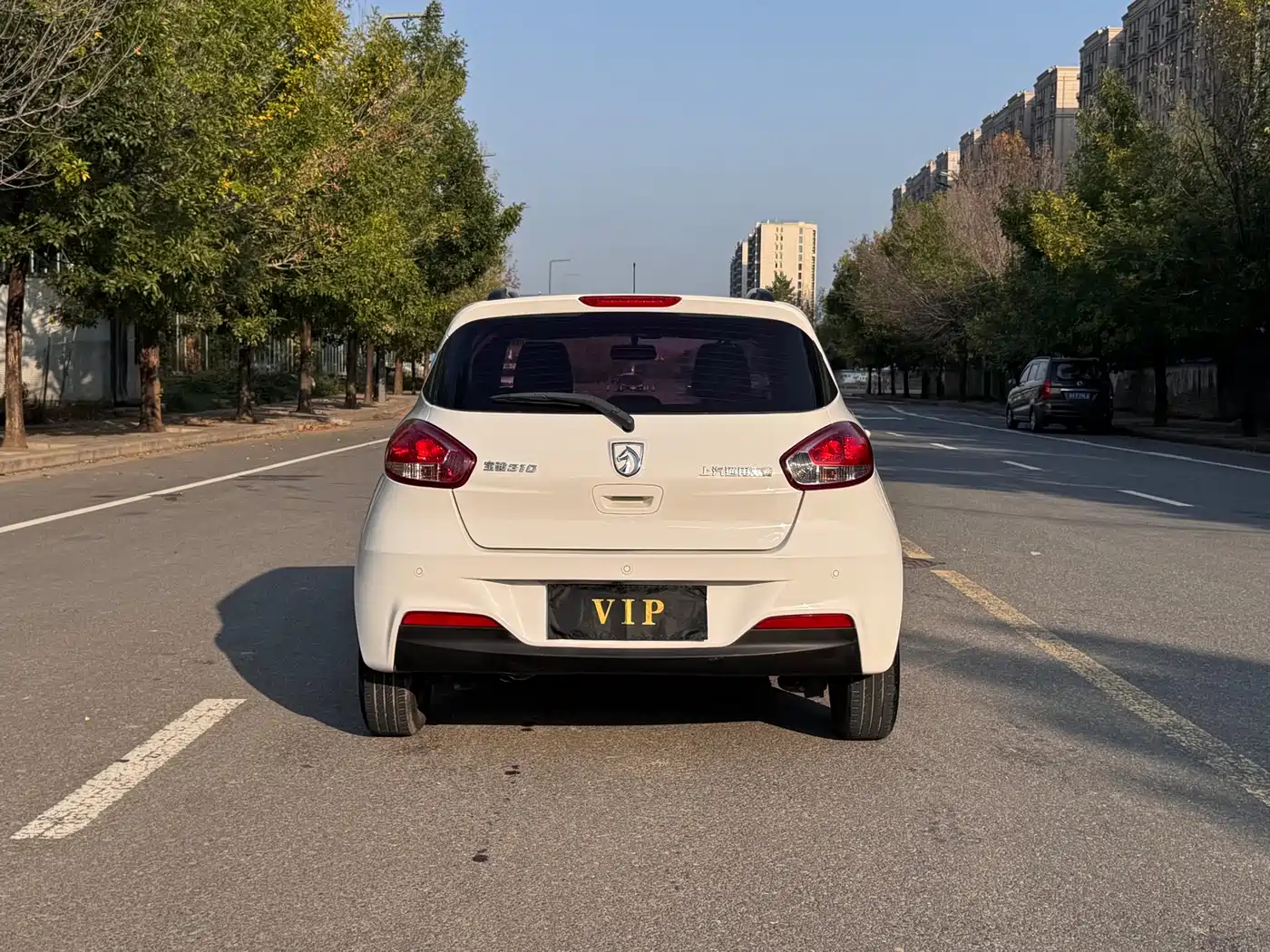 Baojun 310 2016 2016 1.2L Manual Fashion Model
