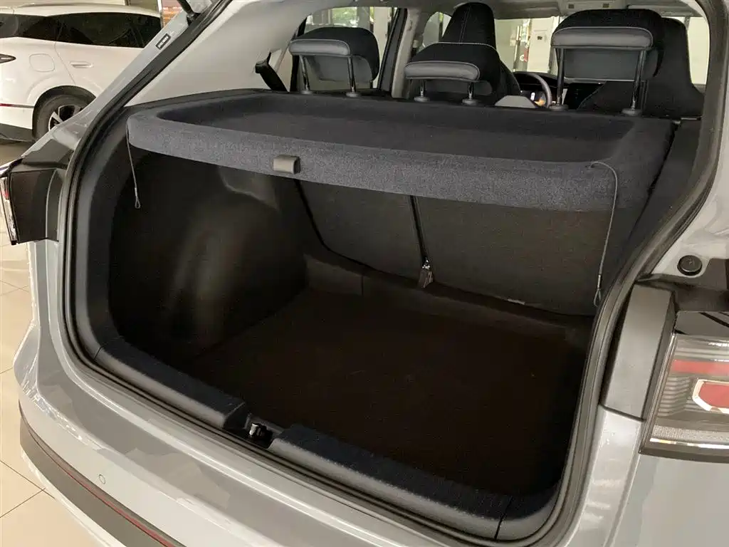 VOLKSWAGEN TUYUE