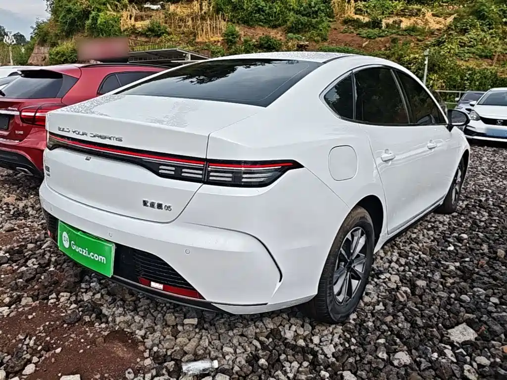 BYD Destroyer 05 2025 2024 Glory Edition DM-i 55KM Luxury