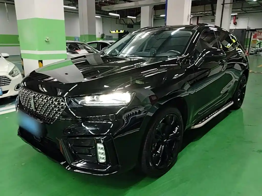 2021 WEY VV7