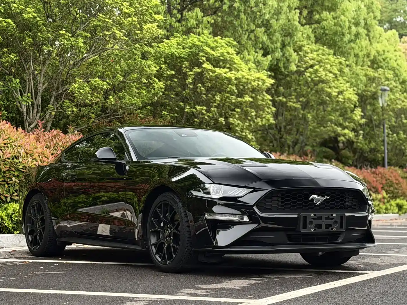 Ford Mustang 2019 2.3L EcoBoost фото 3