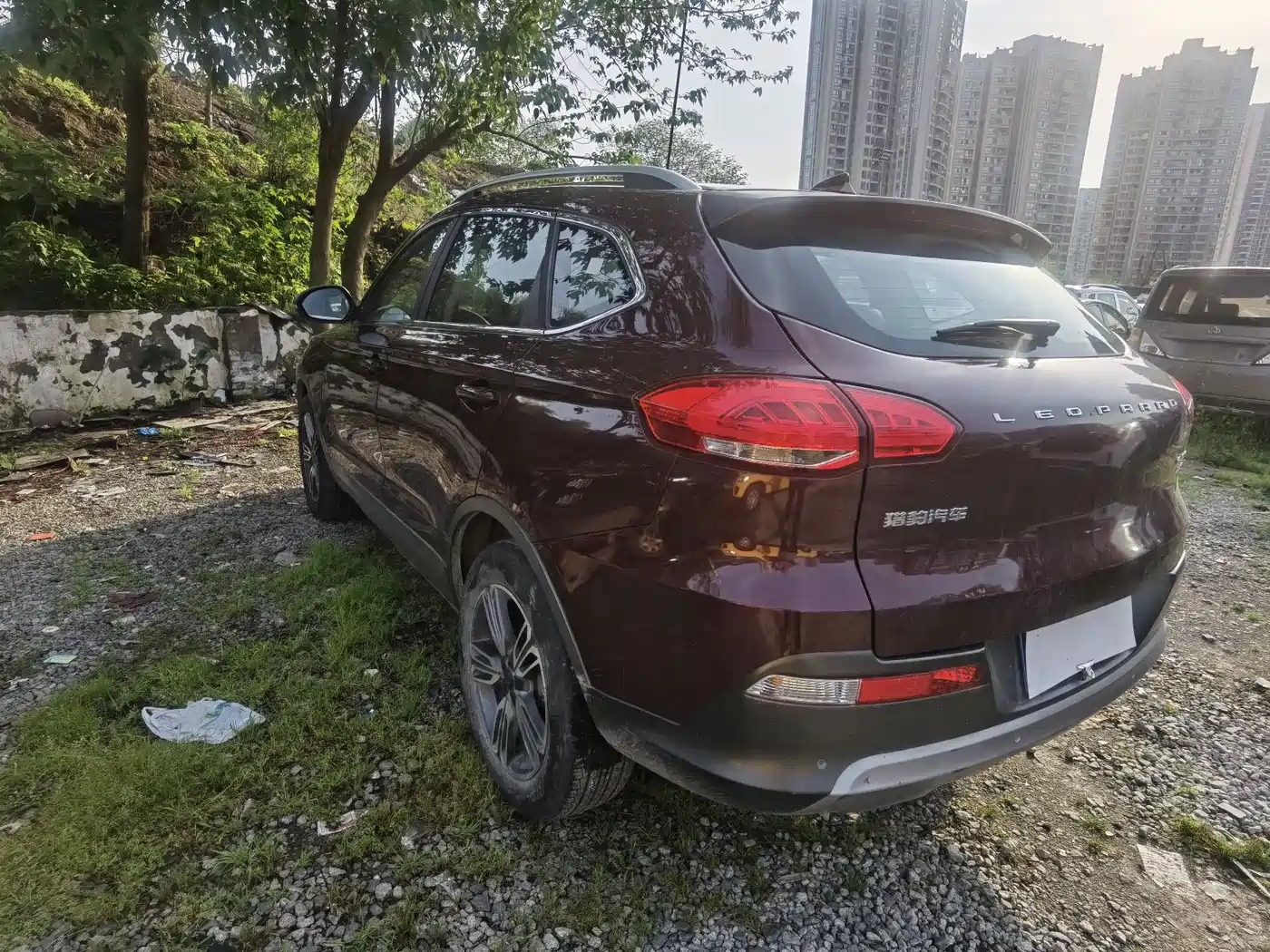 CHEETAH CARS CHEETAH CS10