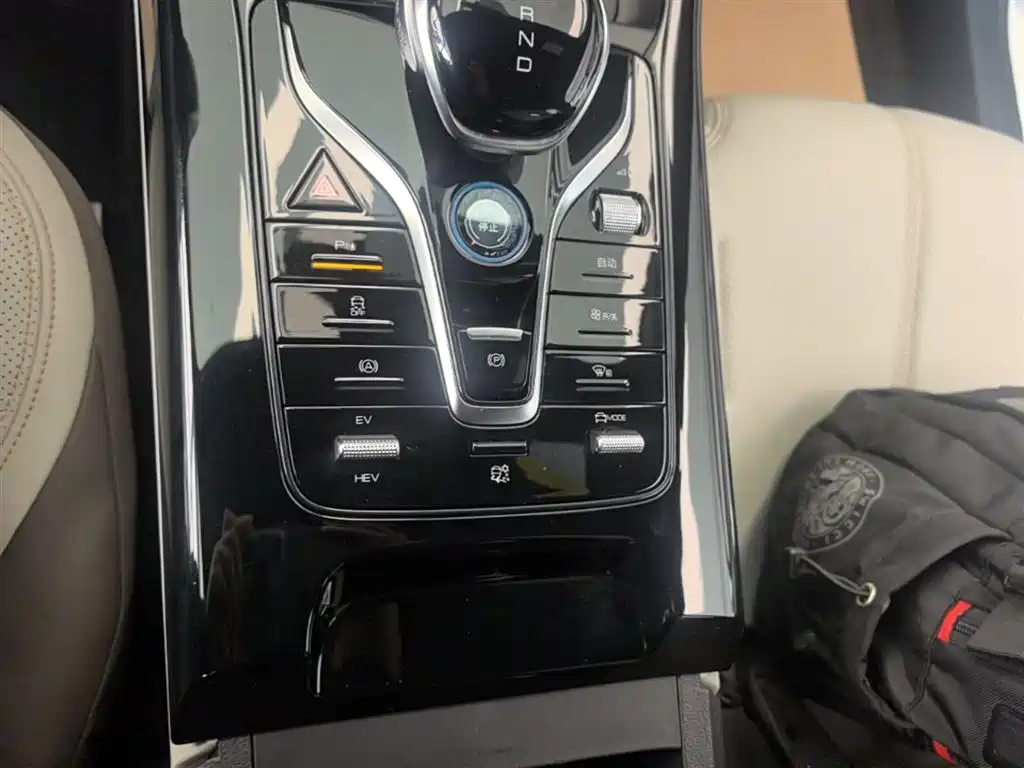 BYD Qin PLUS 2023 Champion Edition DM-i 55KM Leading фото 13