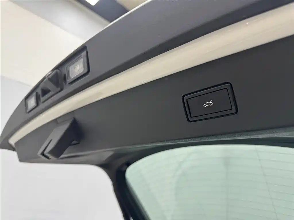 VOLKSWAGEN WITH THE CROWD 06