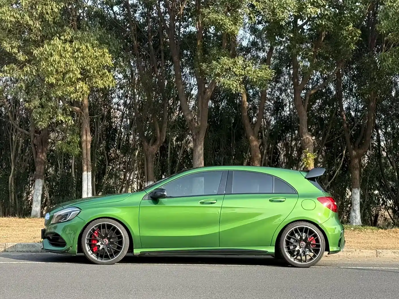 Mercedes-Benz A-Class AMG (Import) 2018 AMG A 45 4MATIC Collector's Edition фото 2