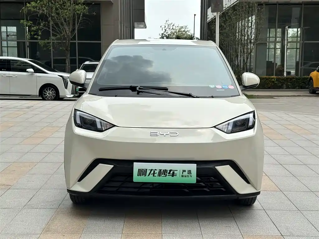 BYD SEAGULL