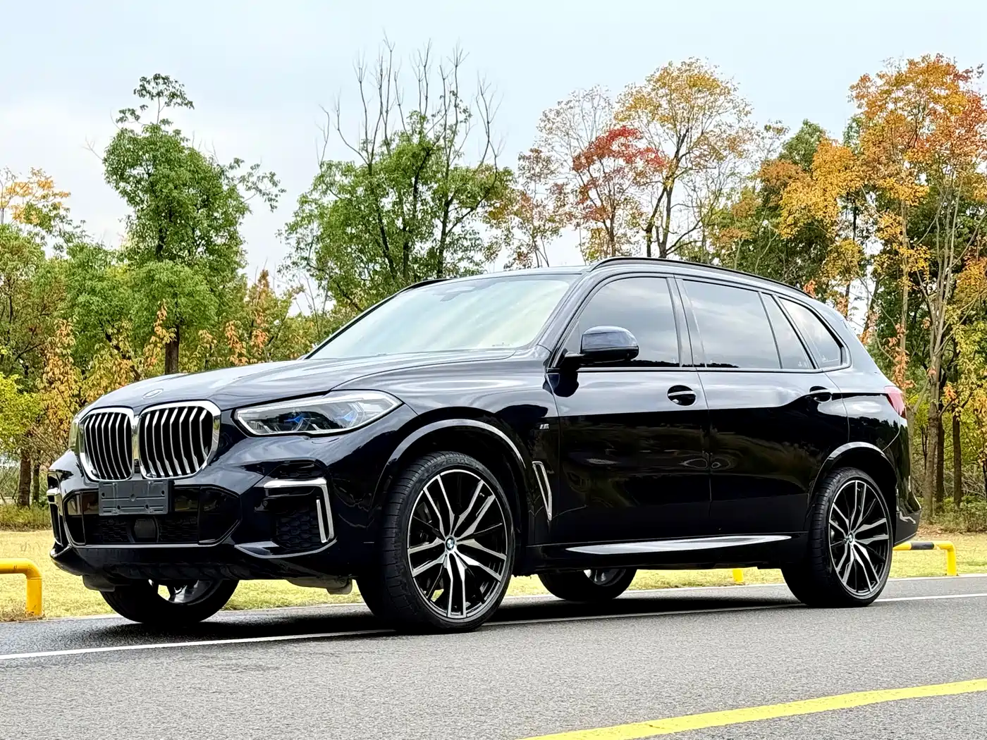 BMW X5 2022 xDrive 40Li Premium M Sport Package