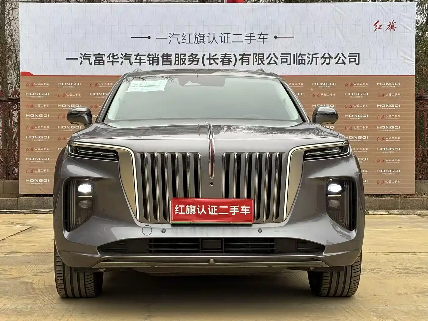 Hongqi E-HS9 2022 690km Qi Xiang Edition (6-seater) фото 2