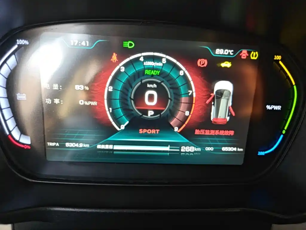 Dayun Yuehu 2022 2022 30.66kWh 2WD VIP Edition