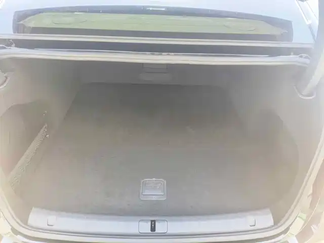 Voyah Auto VOYAH Zhuiguang 2024 PHEV AWD Ultra-long Range Executive Edition — фото 5
