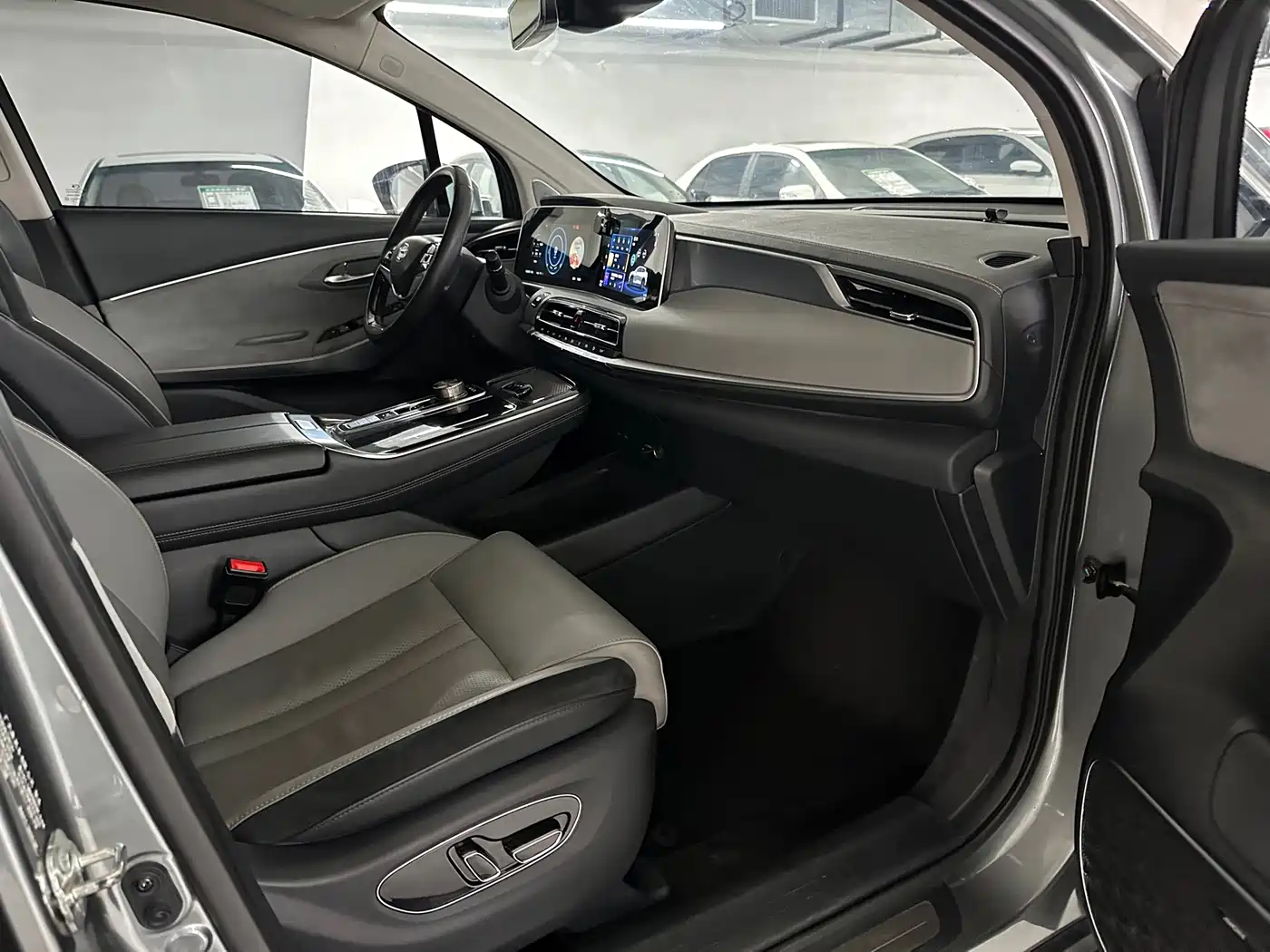 Aion LX 2020 2019 Model 80