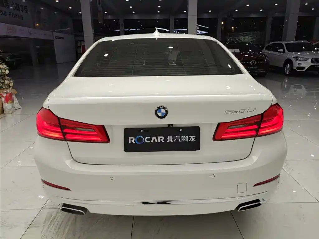 BMW 5 Series 2019 530Li Leading Luxury Package фото 31
