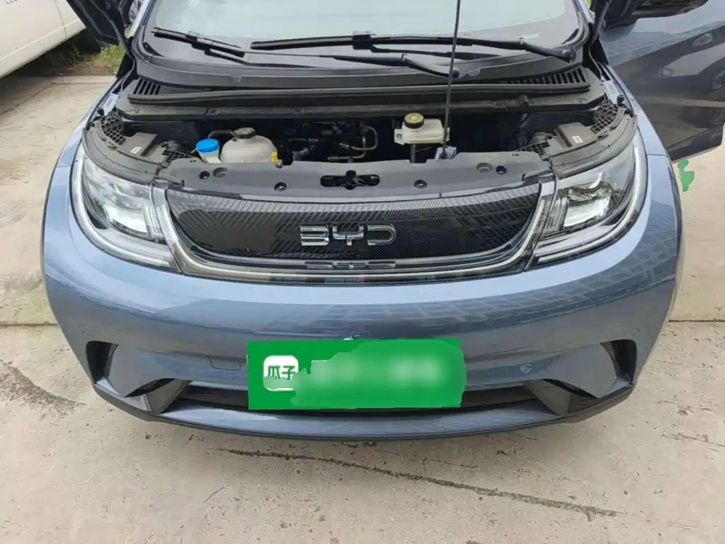 Фото 20 - BYD Dolphin