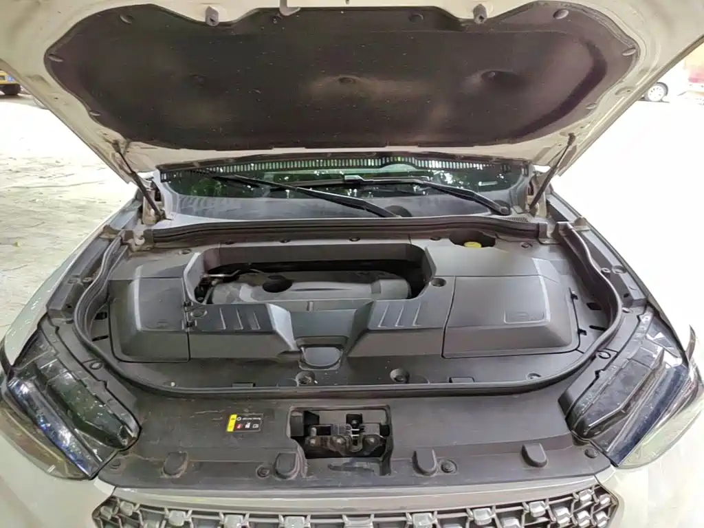 WEY VV6 2020 2021 2.0T 2WD Smart Enjoyment+