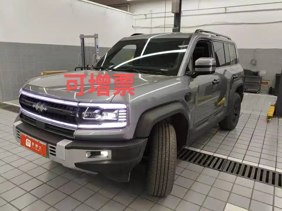 FANG CHENG BAO LEOPARD 5