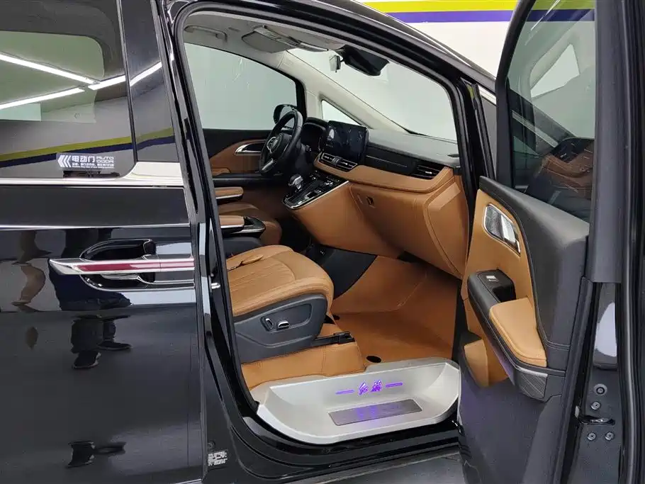 Hongqi HQ9 PHEV 2024 2024 Model 2.0T AWD Business Edition