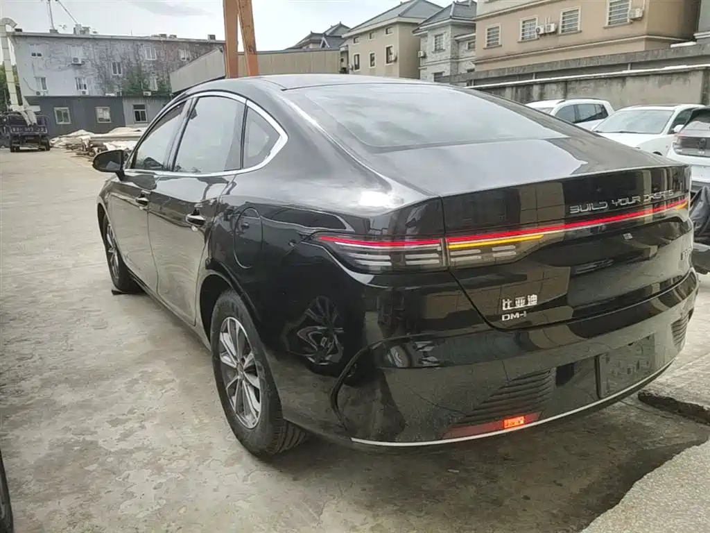 BYD Destroyer 05 2024 Glory Edition DM-i 55KM Luxury фото 5