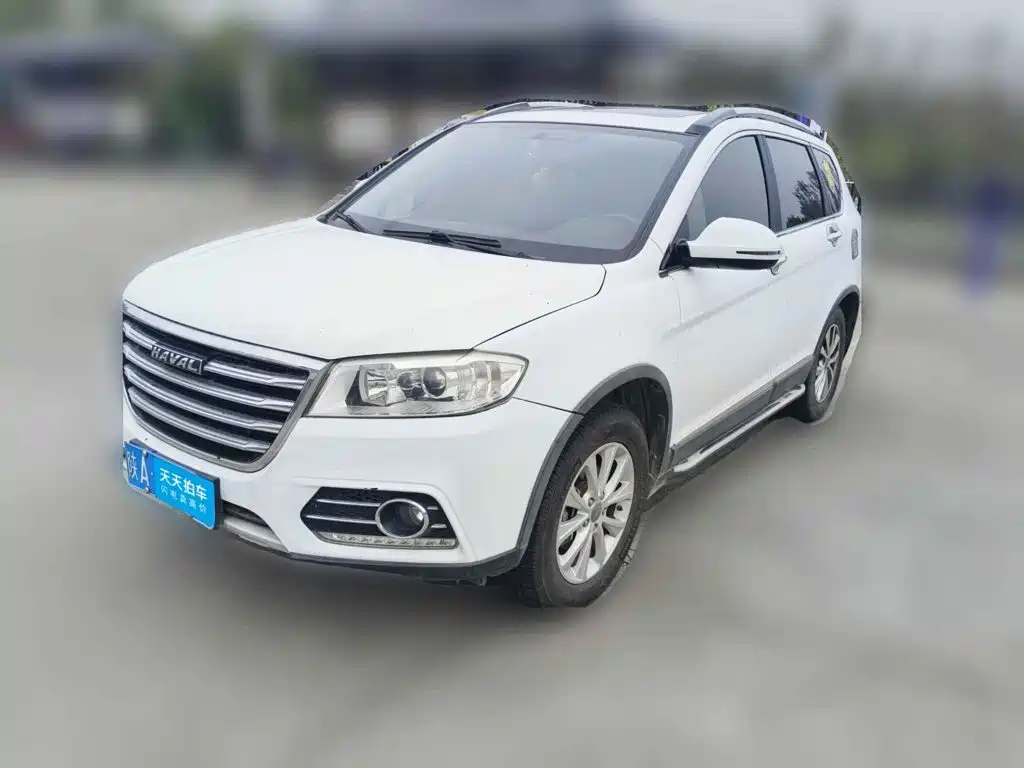 صورة 1 - Haval H6