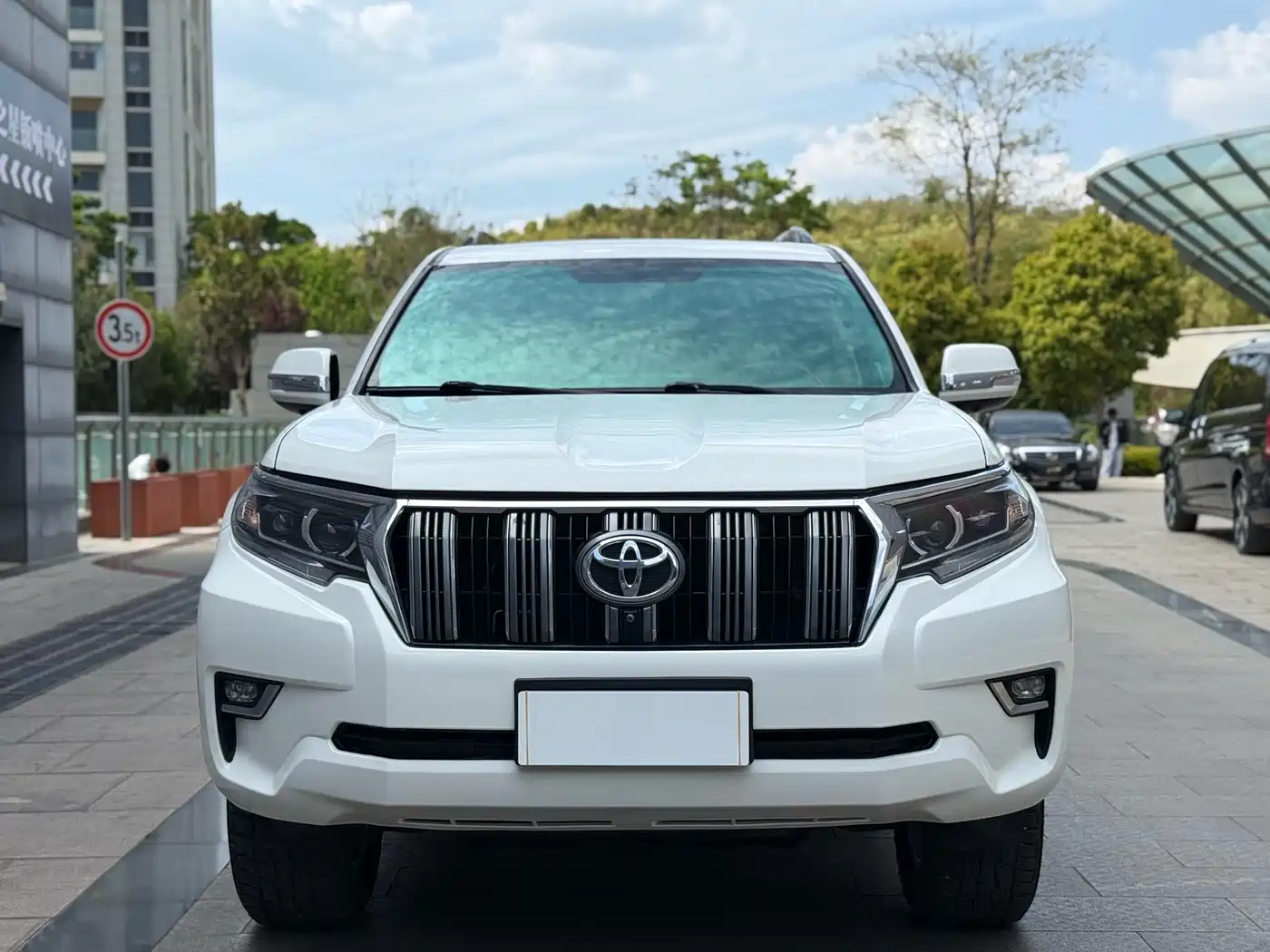 Toyota Prado 2010 4.0L Automatic TX-L фото 3