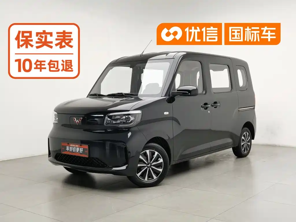 Wuling Motors Wuling Zhiguang NEV 2025 2025 Standard Version