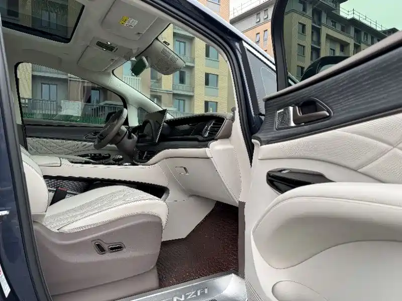 DENZA D9