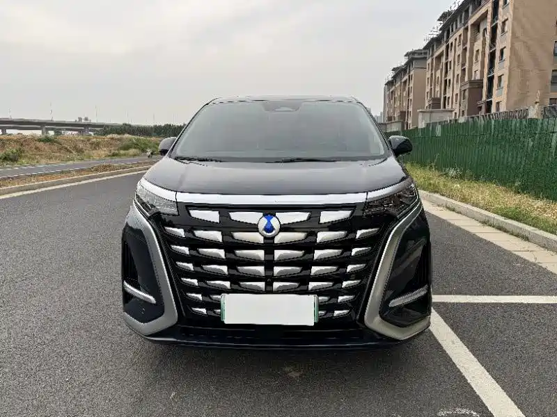DENZA D9