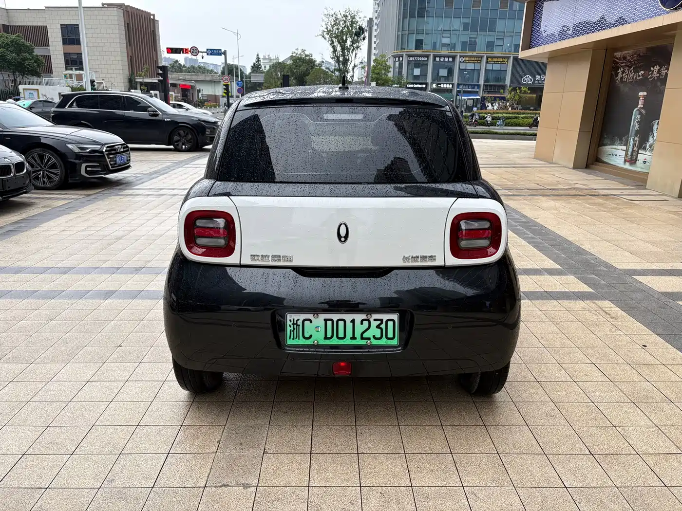 Ora Black Cat 2022 2022 301km Base NCM
