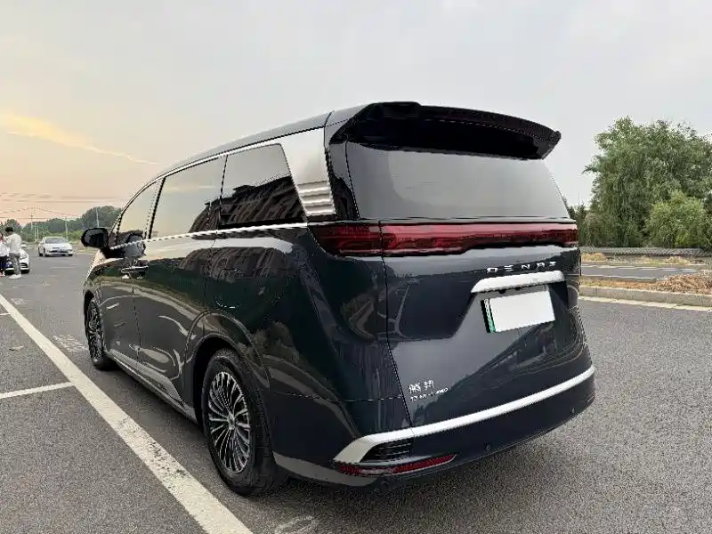 DENZA D9
