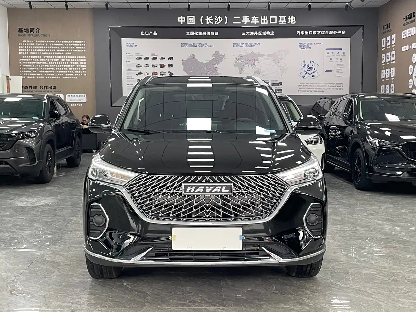 HAVAL M6