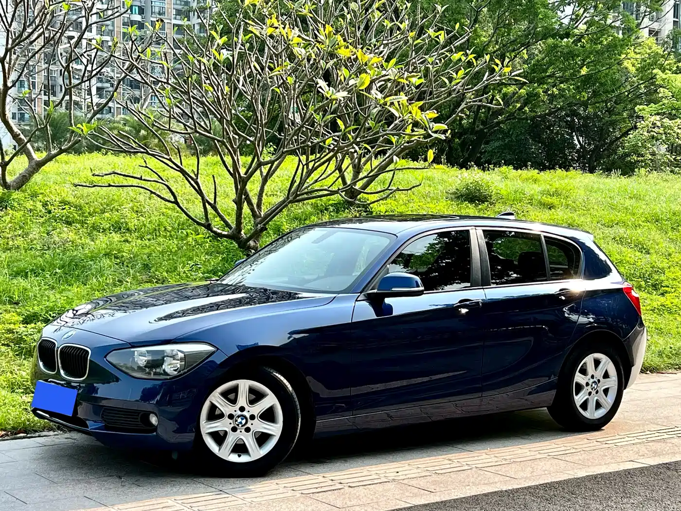 BMW 1 Series (Import) 2013 Facelift 116i Leading Model