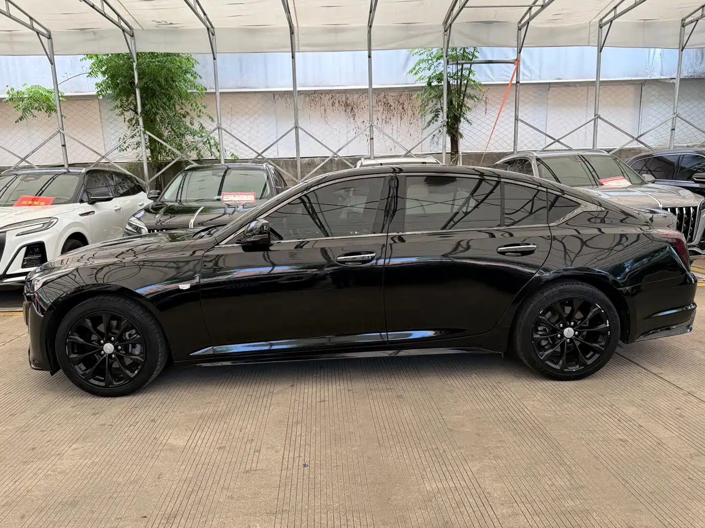 Cadillac CT5 2021 28T Luxury фото 4