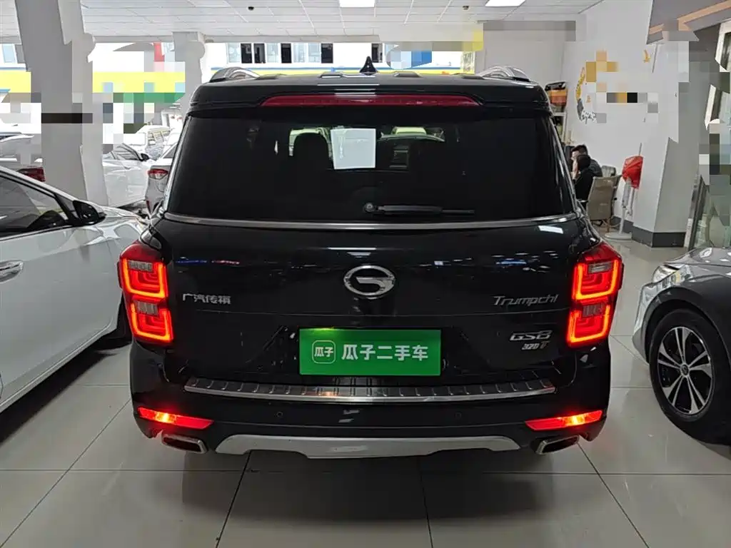 GAC Trumpchi Trumpchi GS8 2017 320T 2WD Luxury Smart Connect (7-seater) фото 6