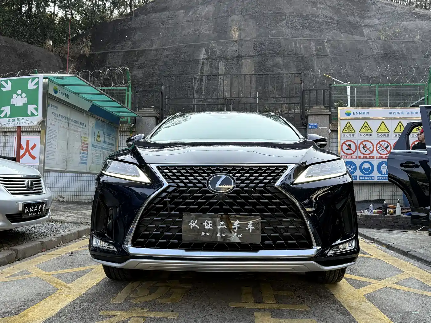 LEXUS RX