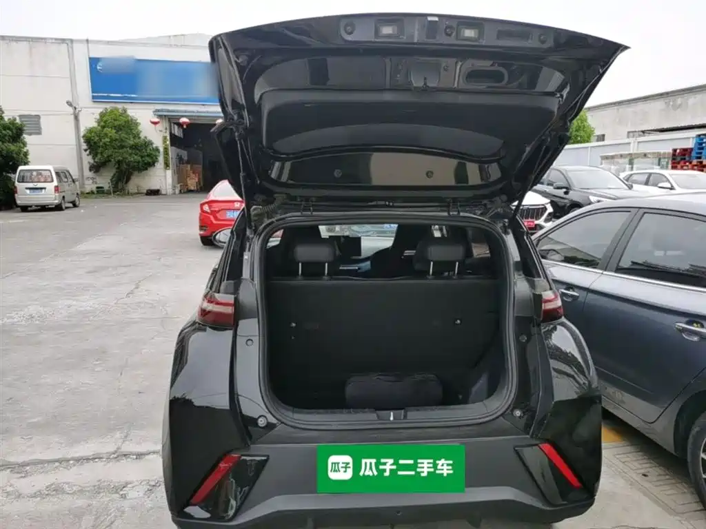 BYD Seagull 2023 Vitality Edition фото 19