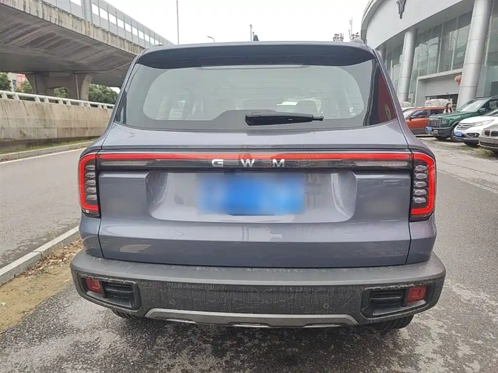 Haval Big Dog 2024 1.5T DCT Border Collie Edition фото 6