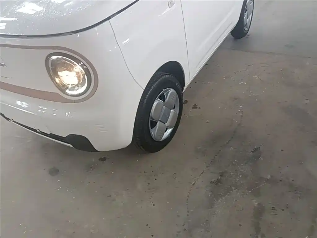 Geely Galaxy Panda 2025 Panda mini 210km Vitality Bear фото 23