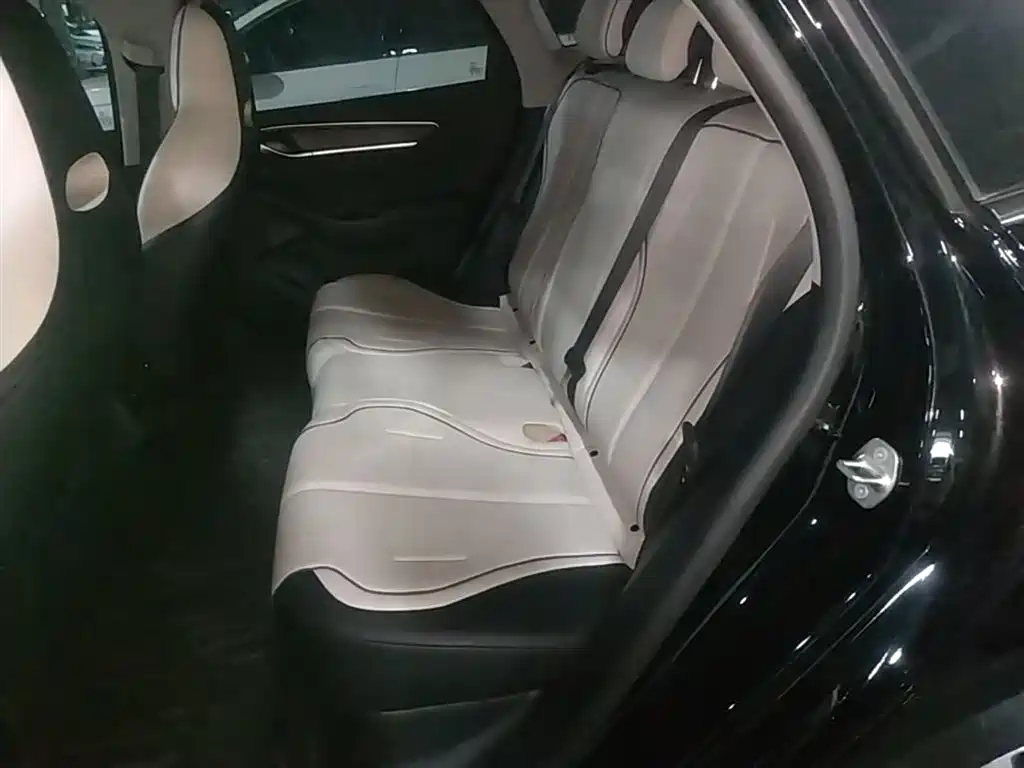 BYD Destroyer 05 2024 Glory Edition DM-i 55KM Luxury фото 17