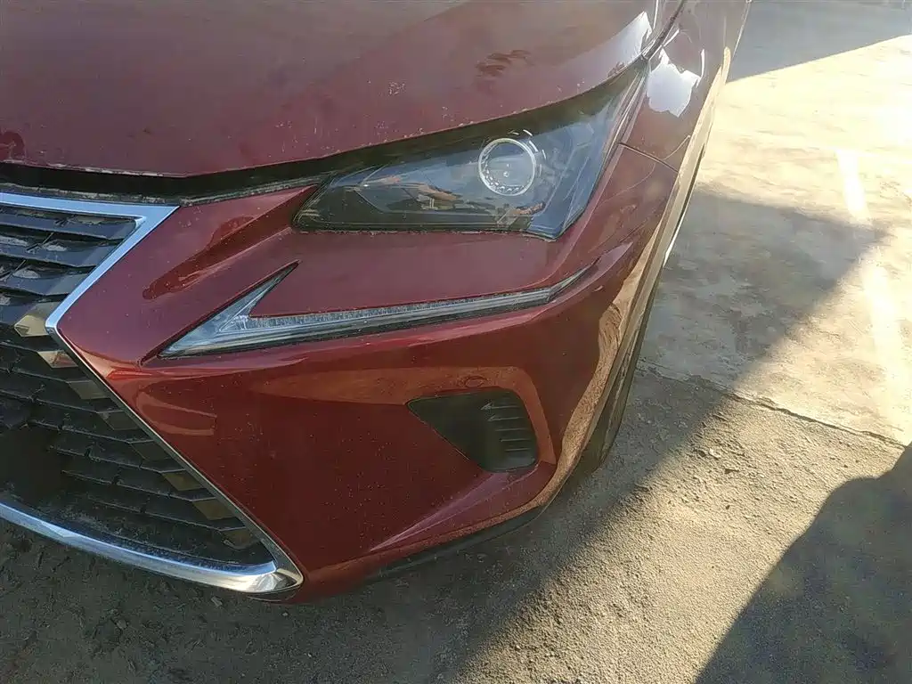 Lexus NX 2018 Model 200 FWD Fengxing Edition China V фото 15