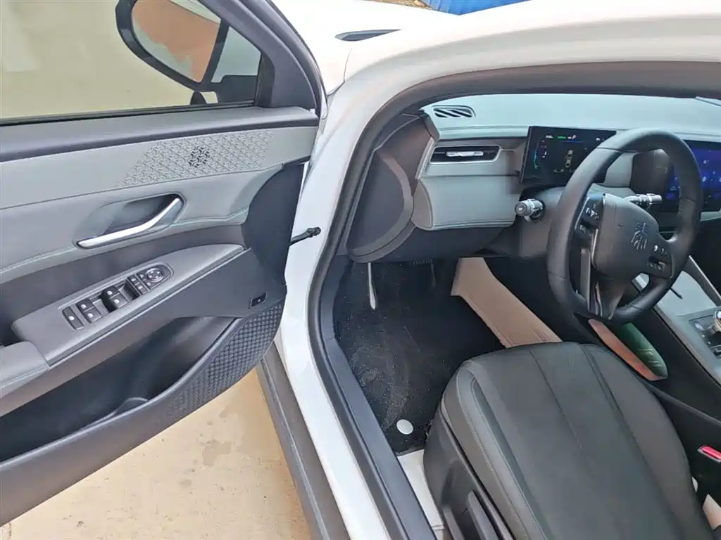 BYD Qin PLUS 2025 DM-i Smart Drive 55KM Leader фото 16