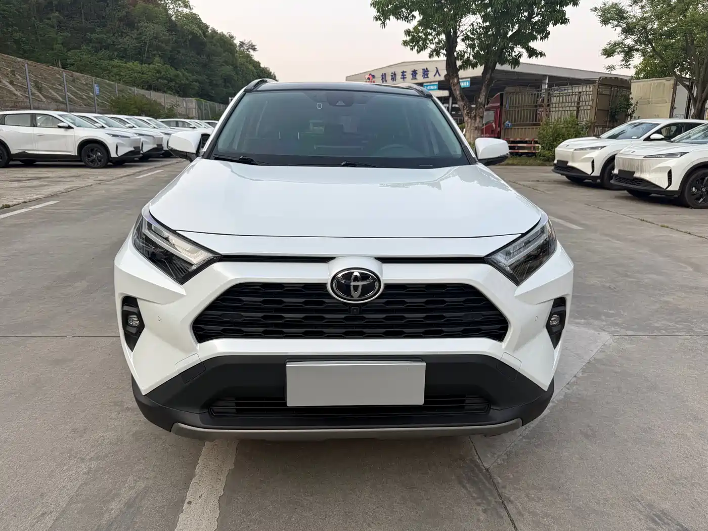 Toyota RAV4 Rongfang 2023 2.0L CVT 2WD 20th Anniversary Platinum Edition фото 2