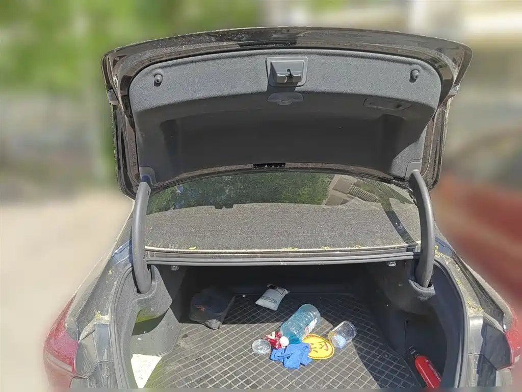 Hongqi H5 2023 2.0T Auto Smart Connect Flag Comfort фото 10