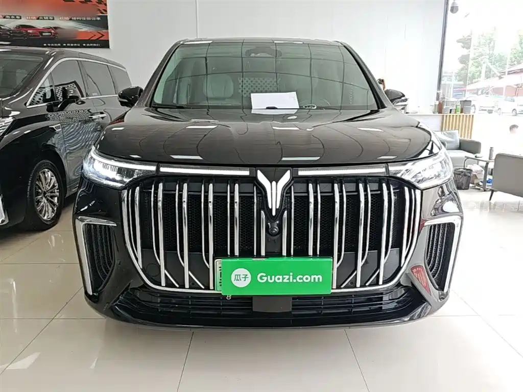 Voyah Auto Voyah Dreamer 2022 Low-carbon Dream+Smart Package фото 3