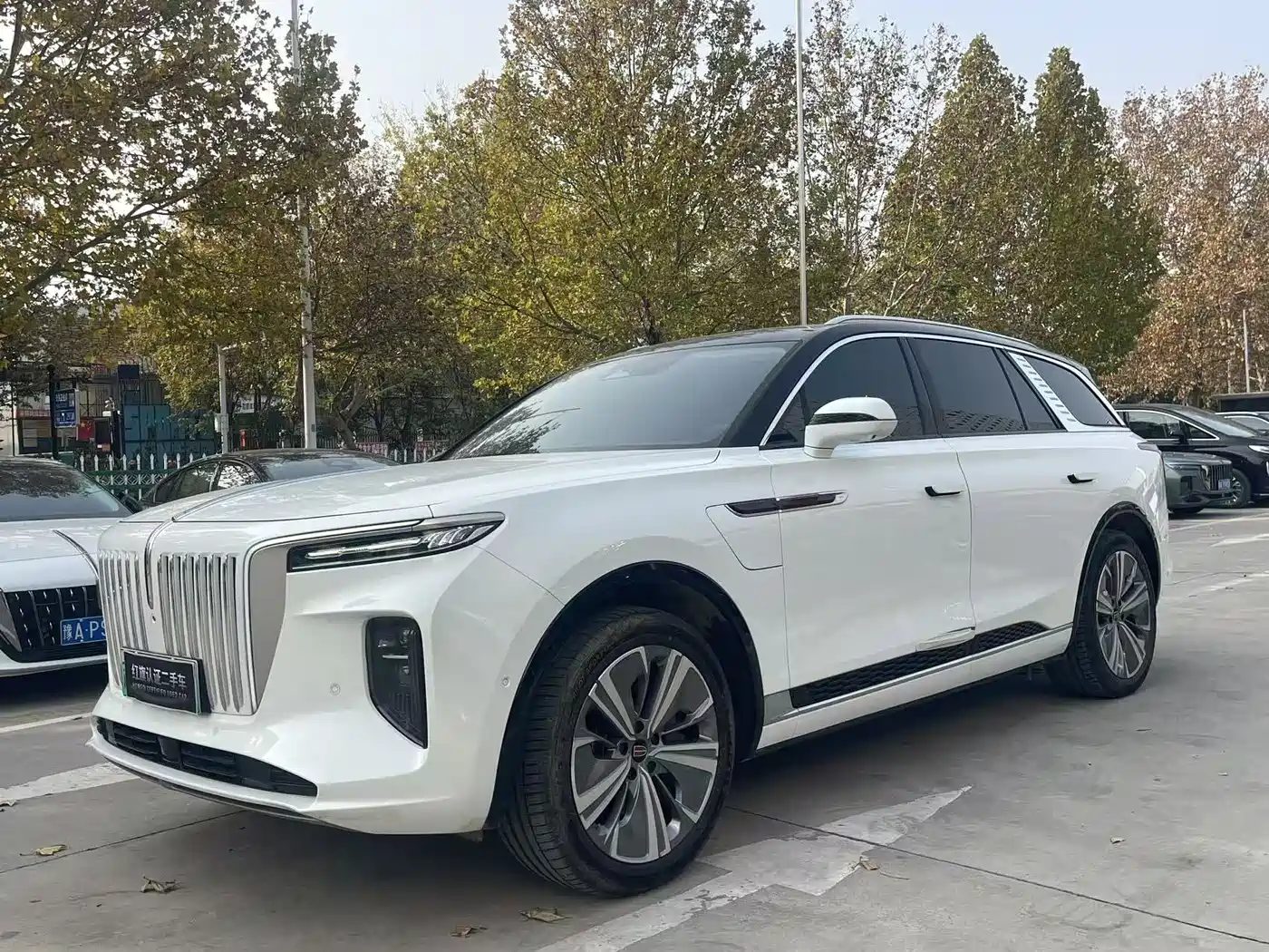 Hongqi HONGQI E HS9