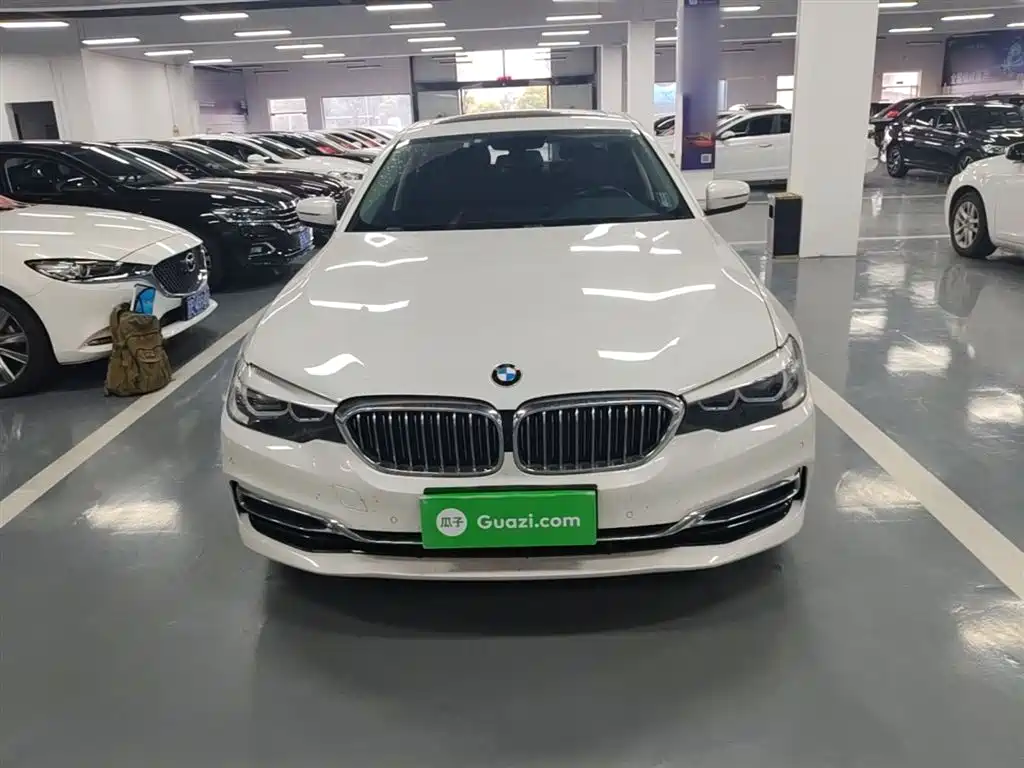 BMW 5 Series 2019 525Li Luxury Package фото 3