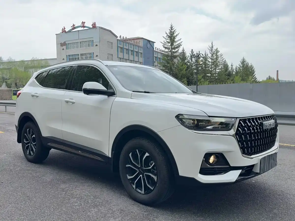 Haval H6 2023 National Trend Edition 1.5T Automatic Urban фото 3