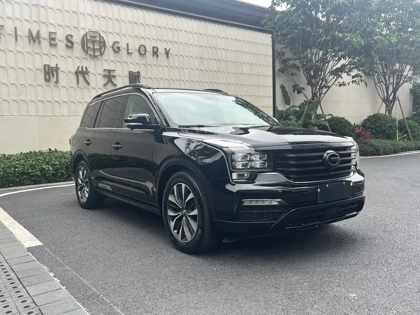 GAC Trumpchi Trumpchi GS8 2017 320T 2WD Luxury Smart Connect (7-seater) фото 5